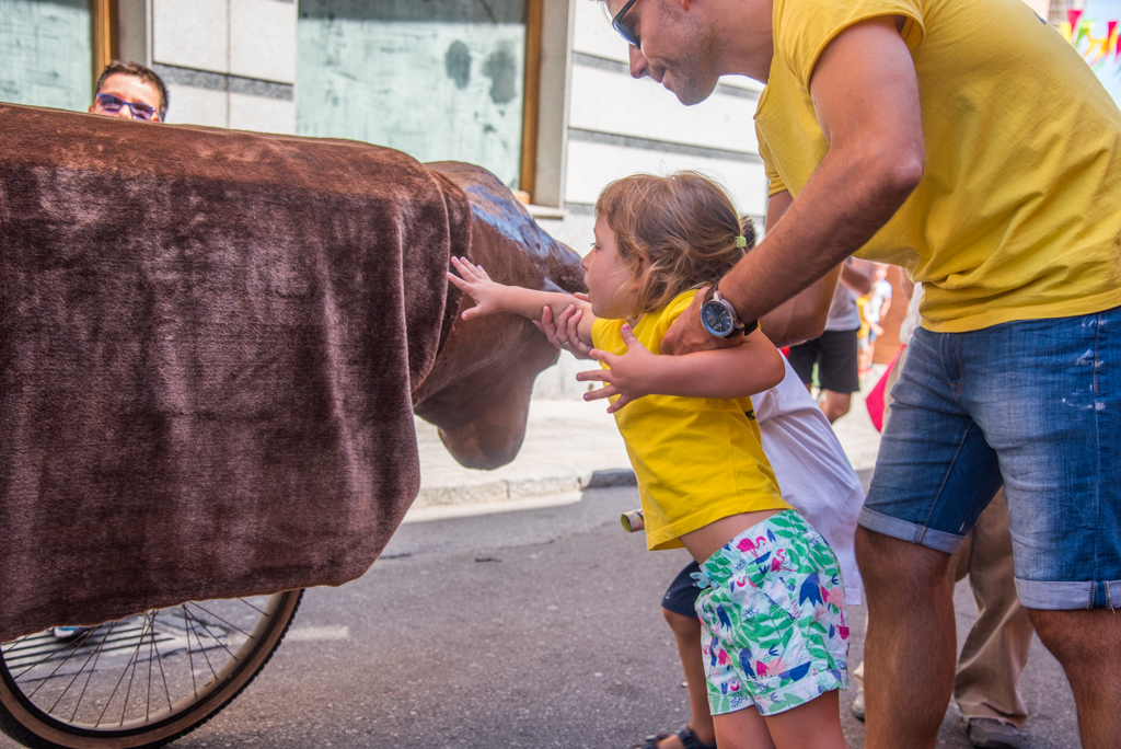 fiestas-cantalejo-2017-3088