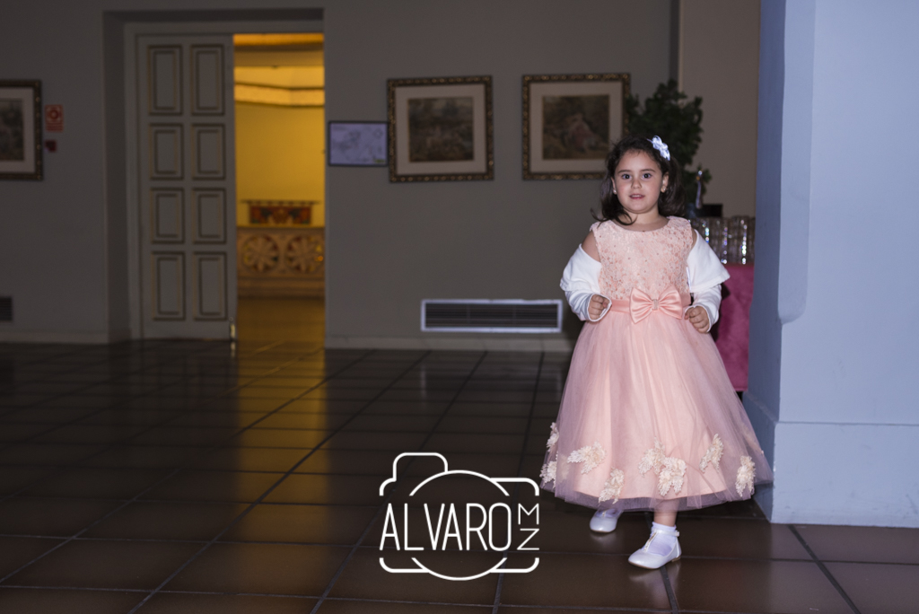 boda-elena-y-carlos-6806