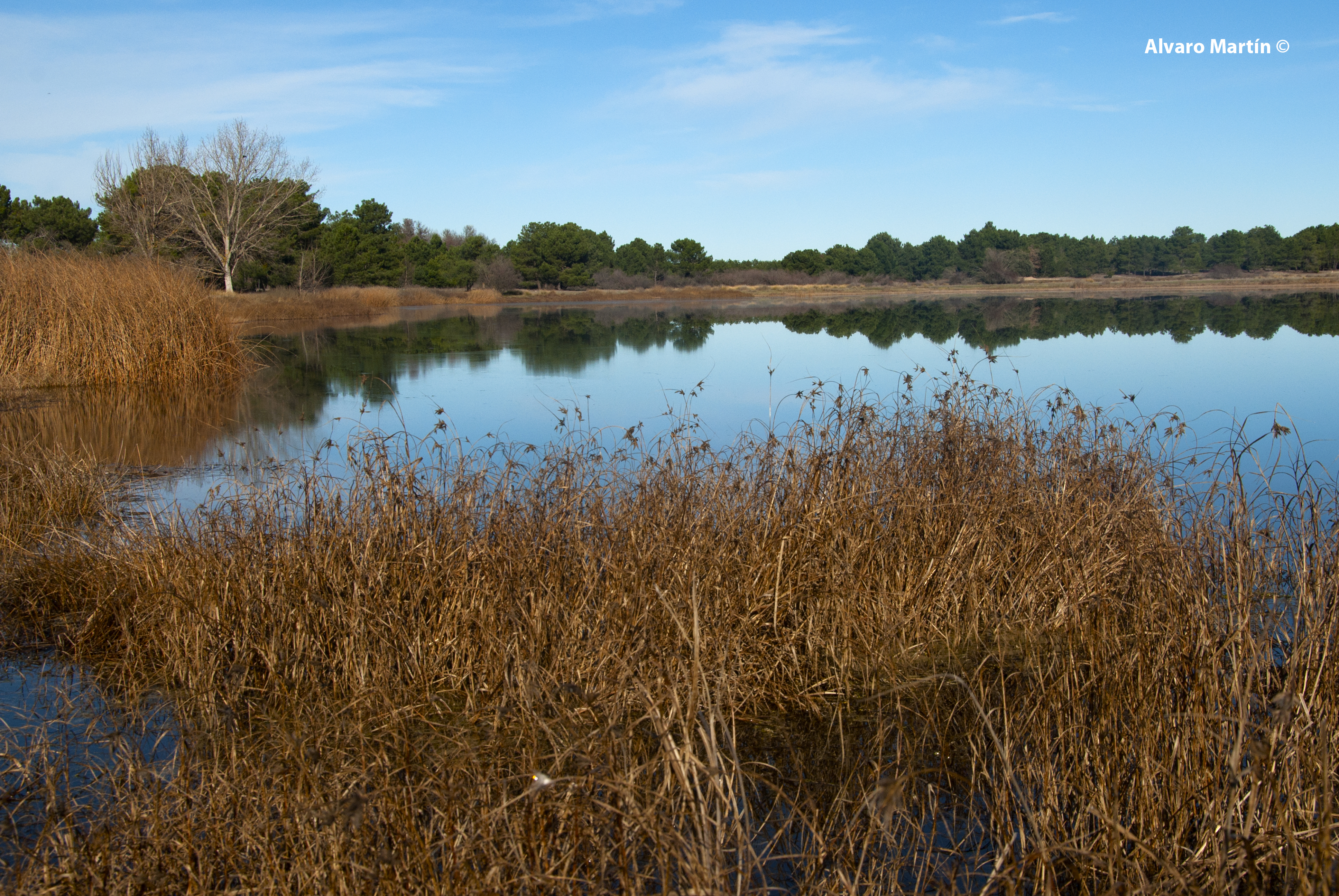 dsc_9478-lagunas-de-cantalejo