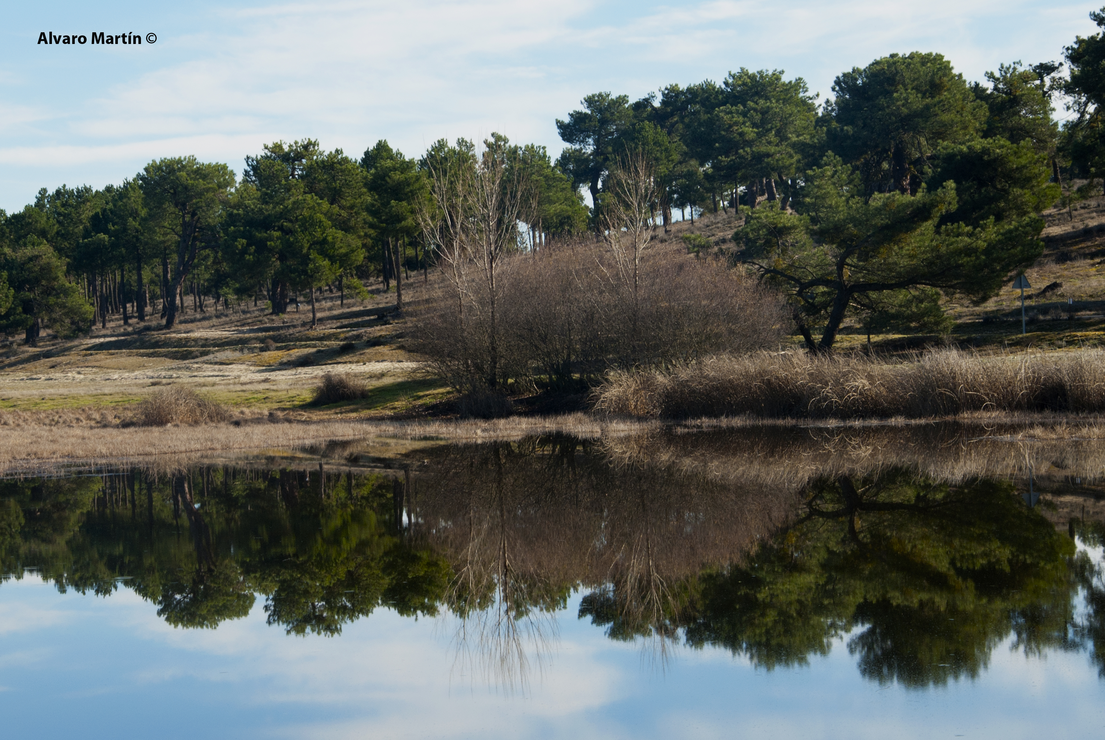 dsc_9482-lagunas-de-cantalejo